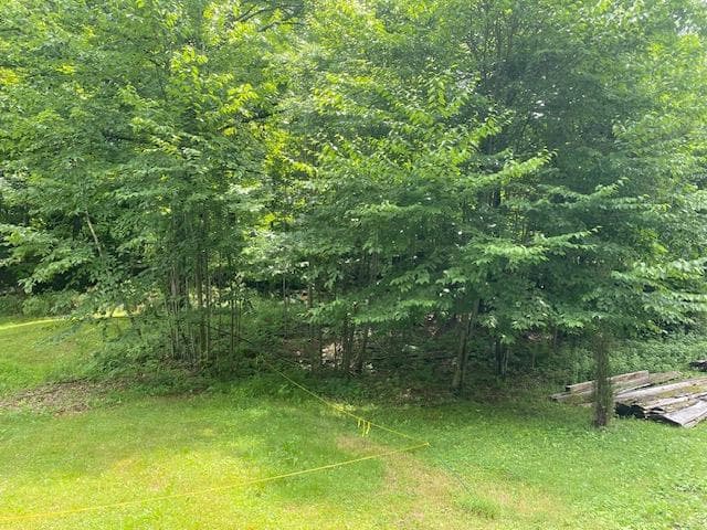 Yard