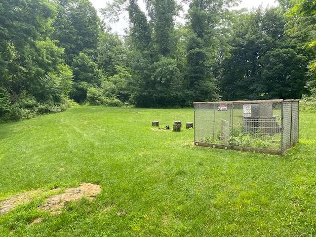 Yard