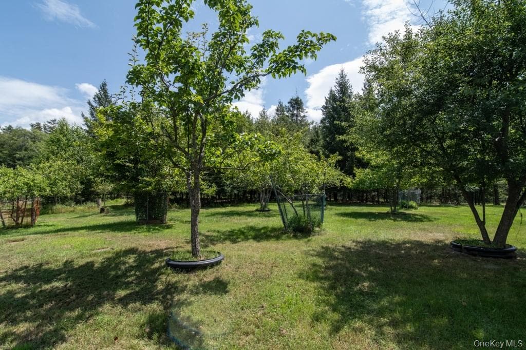 Yard