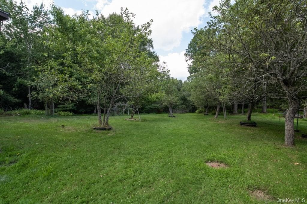 Yard