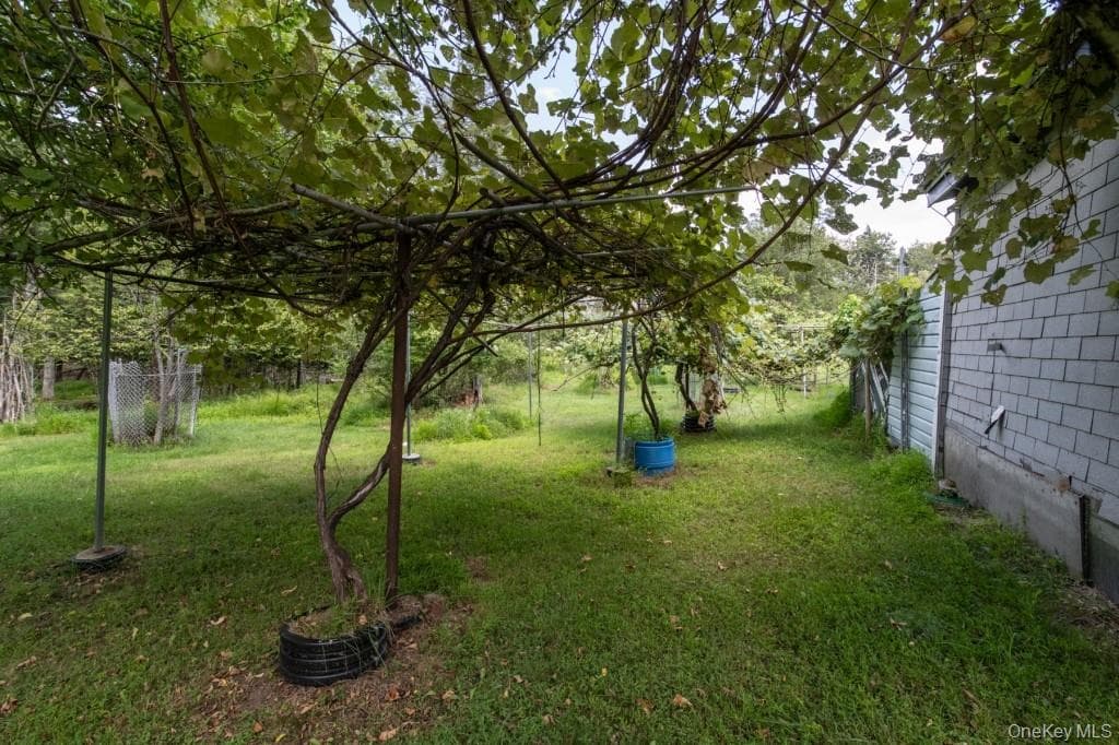 Yard