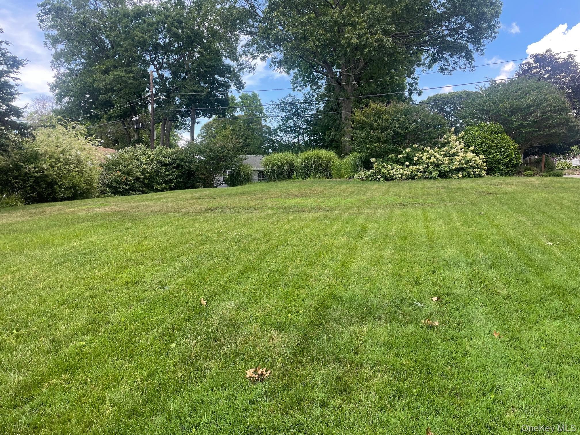 Yard