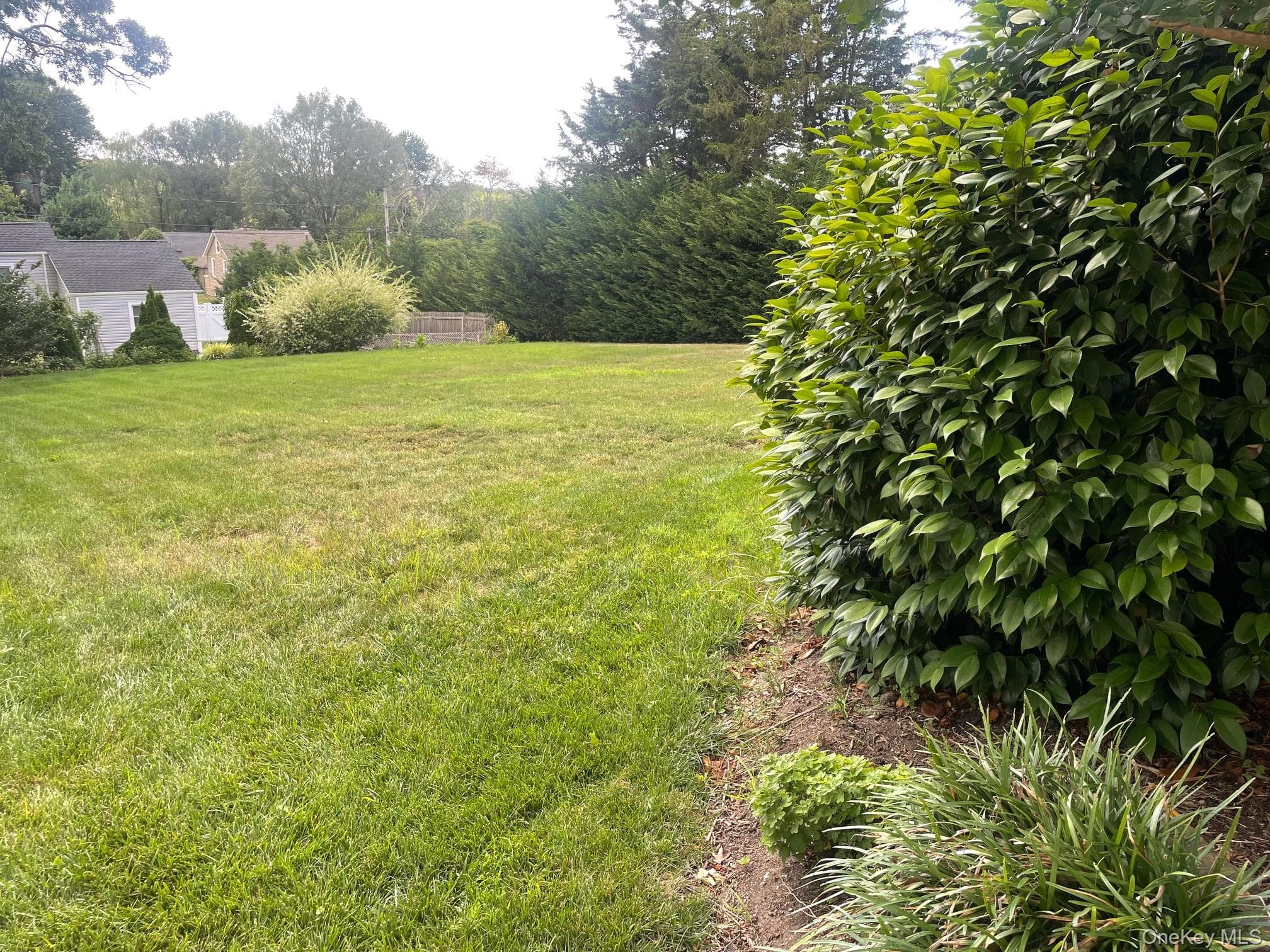 Yard