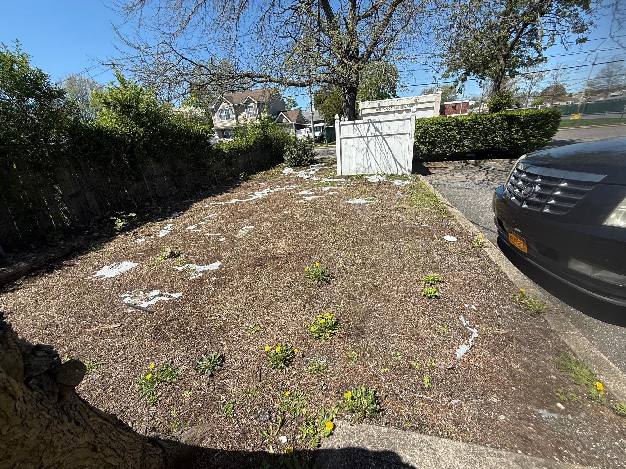 Yard