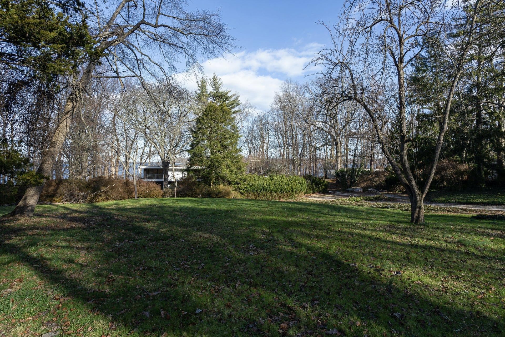 Yard
