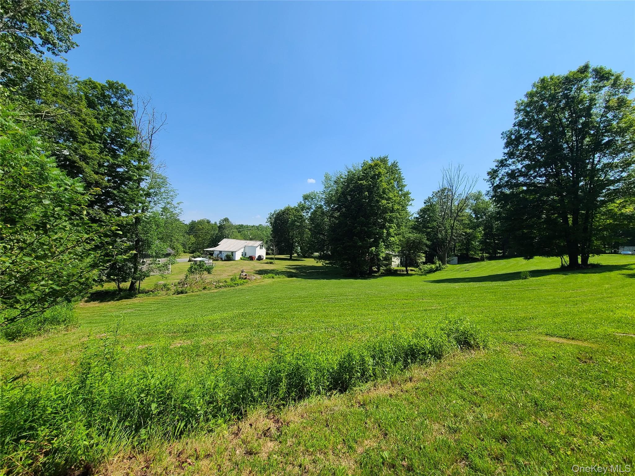 Yard