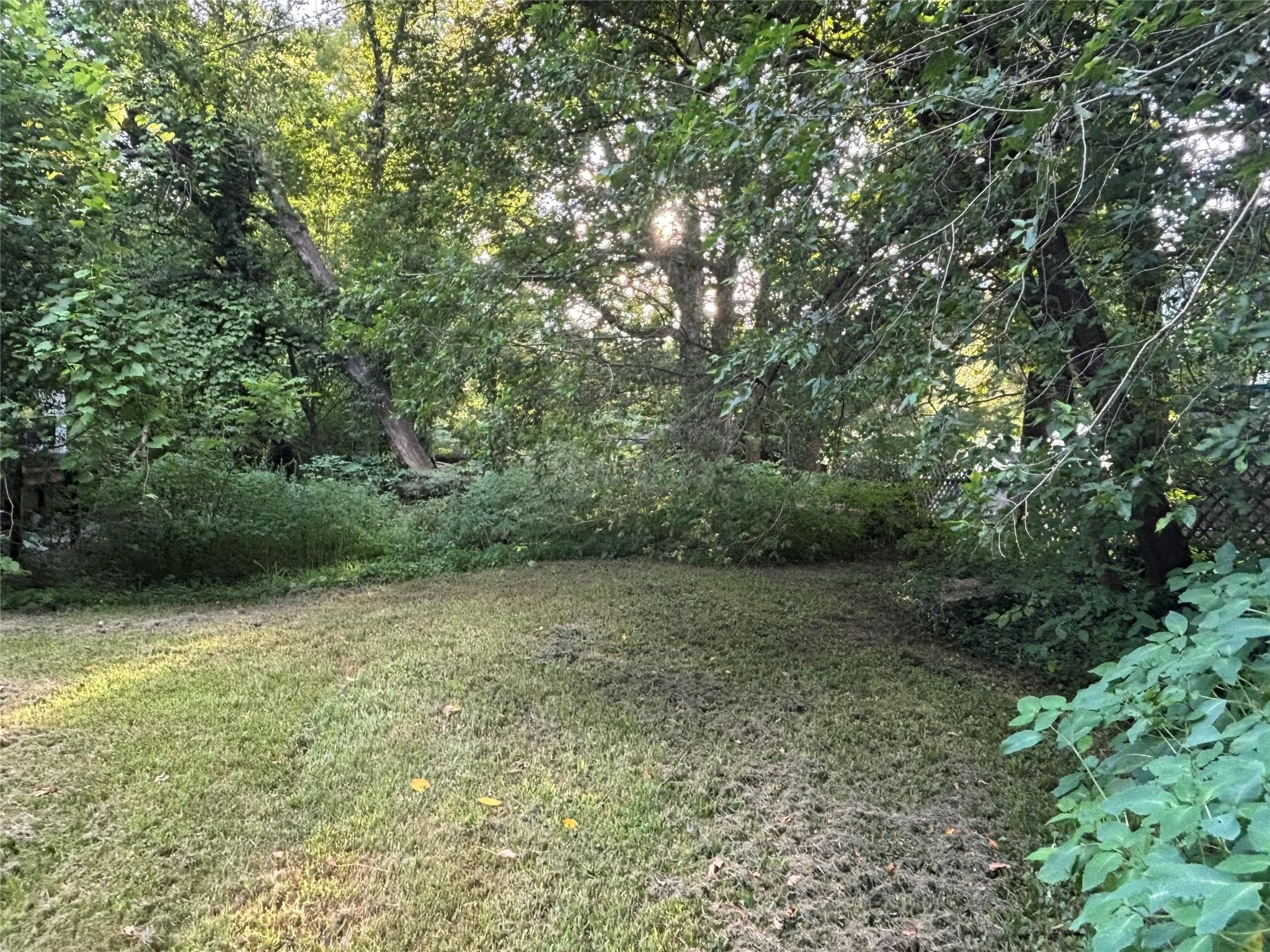 Yard