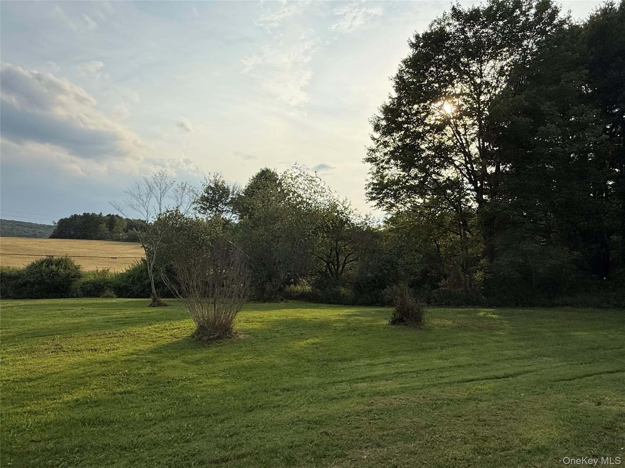 Yard