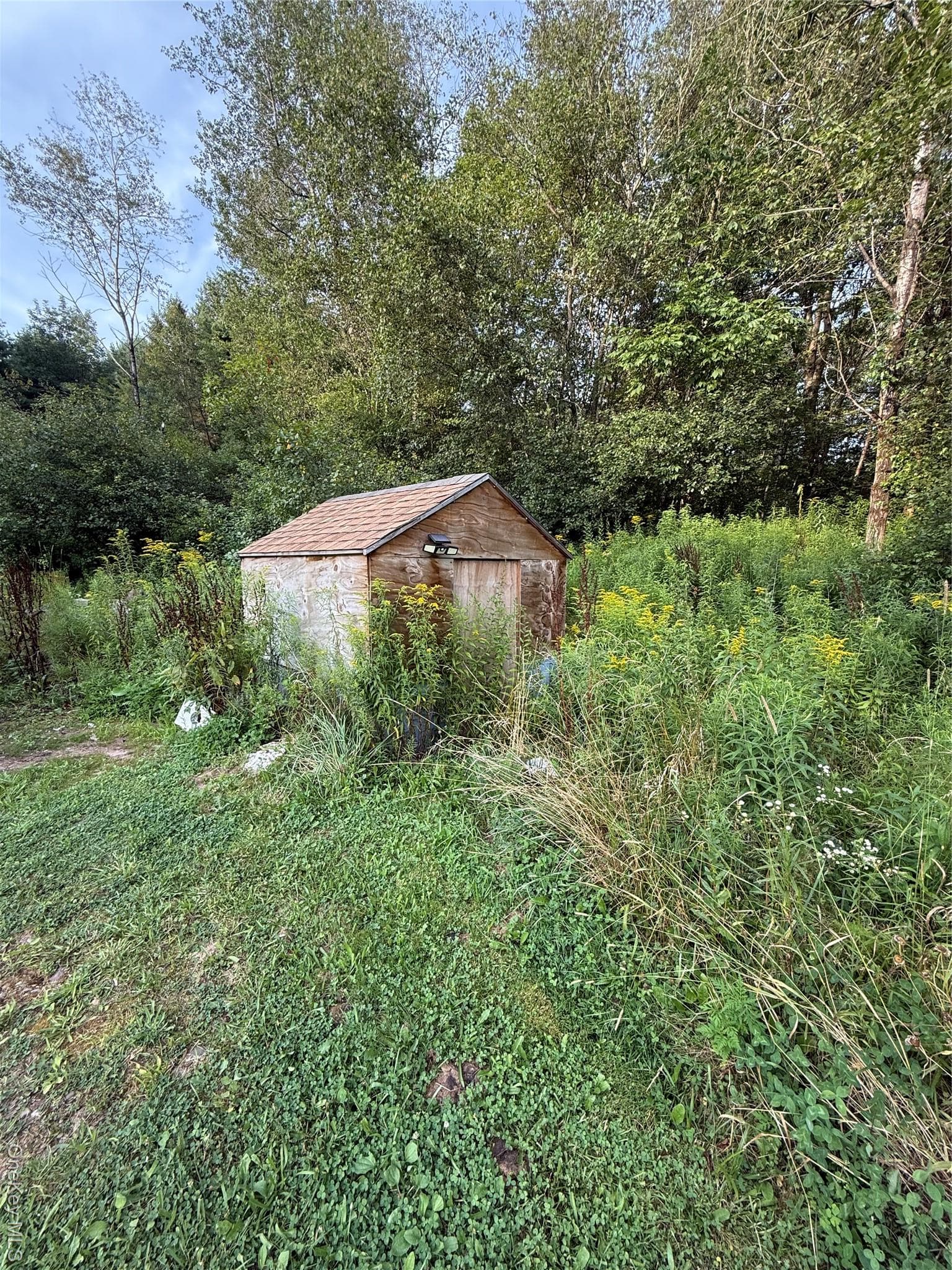 Yard