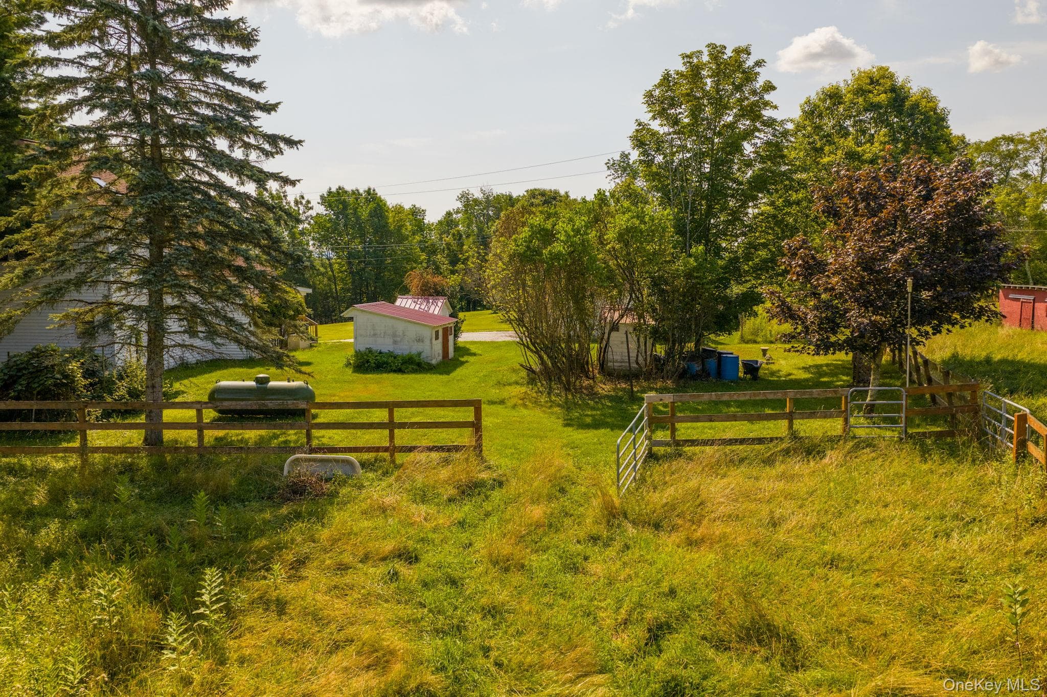 Yard