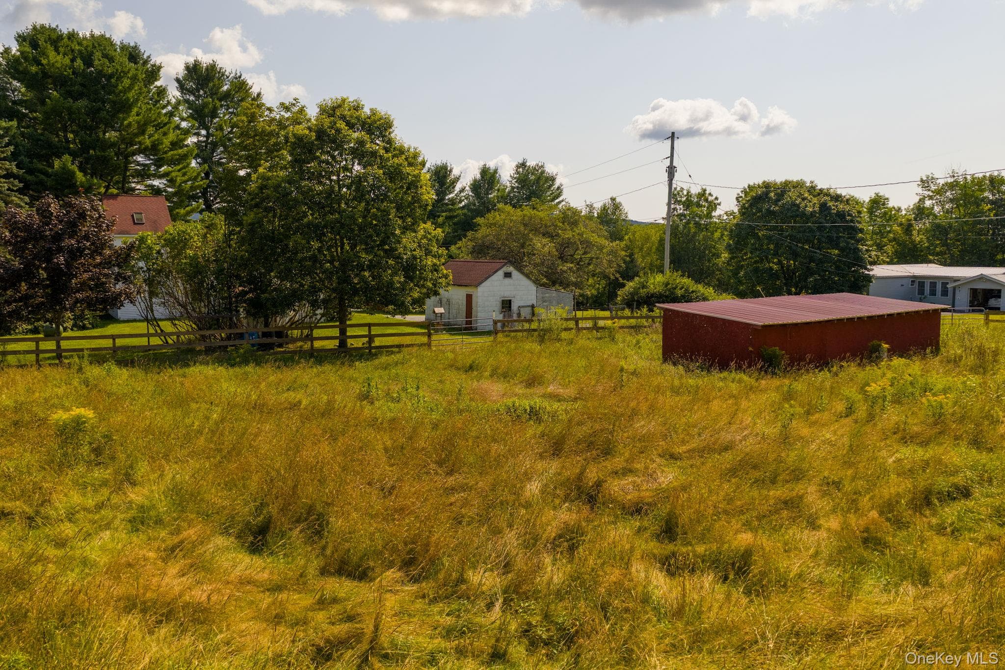 Yard
