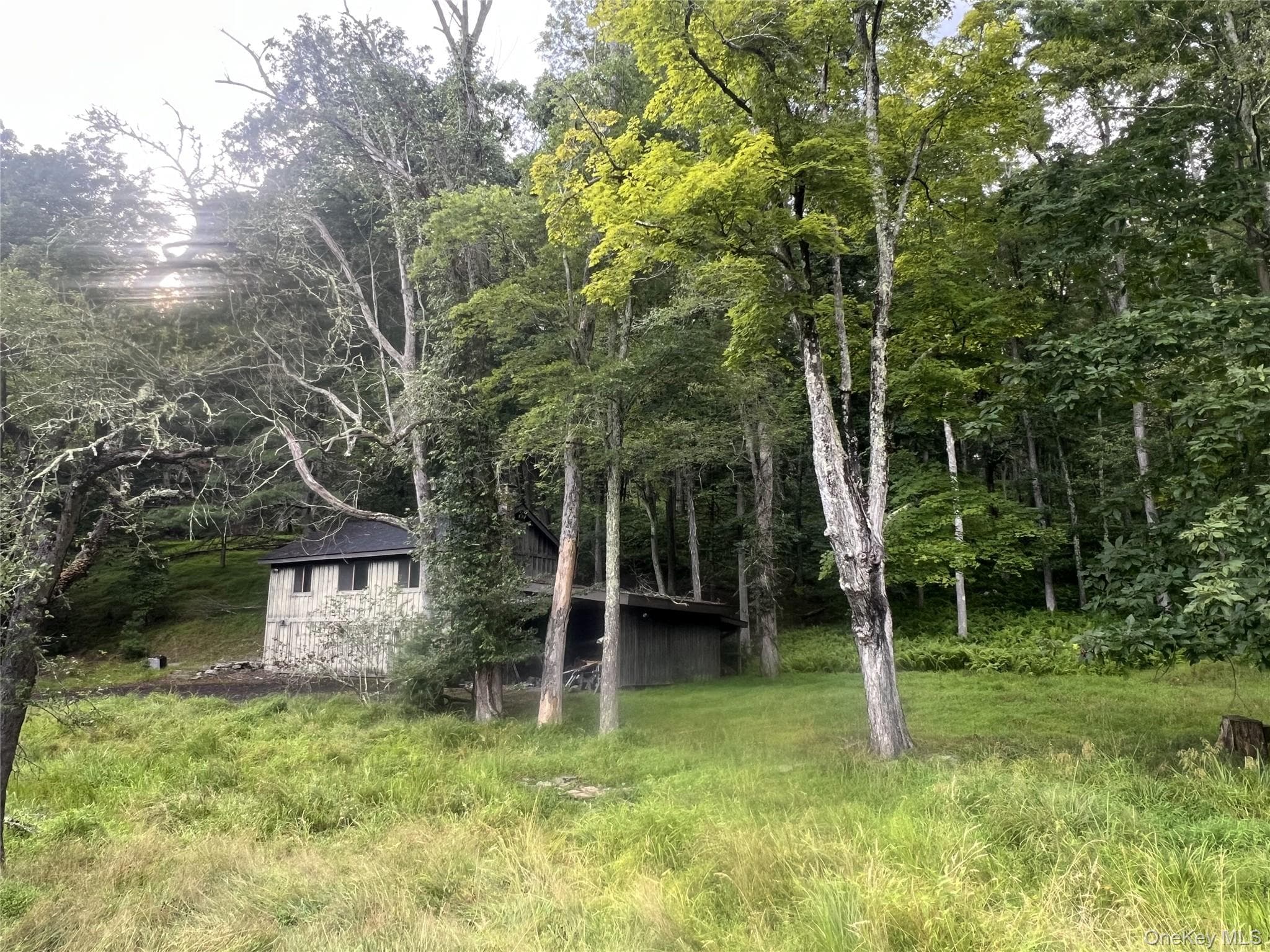 Yard