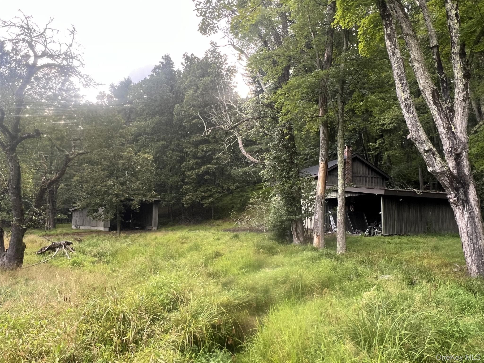 Yard
