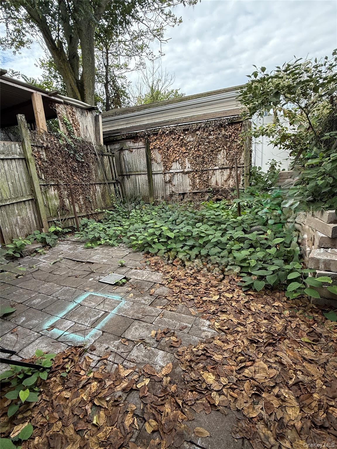 Yard