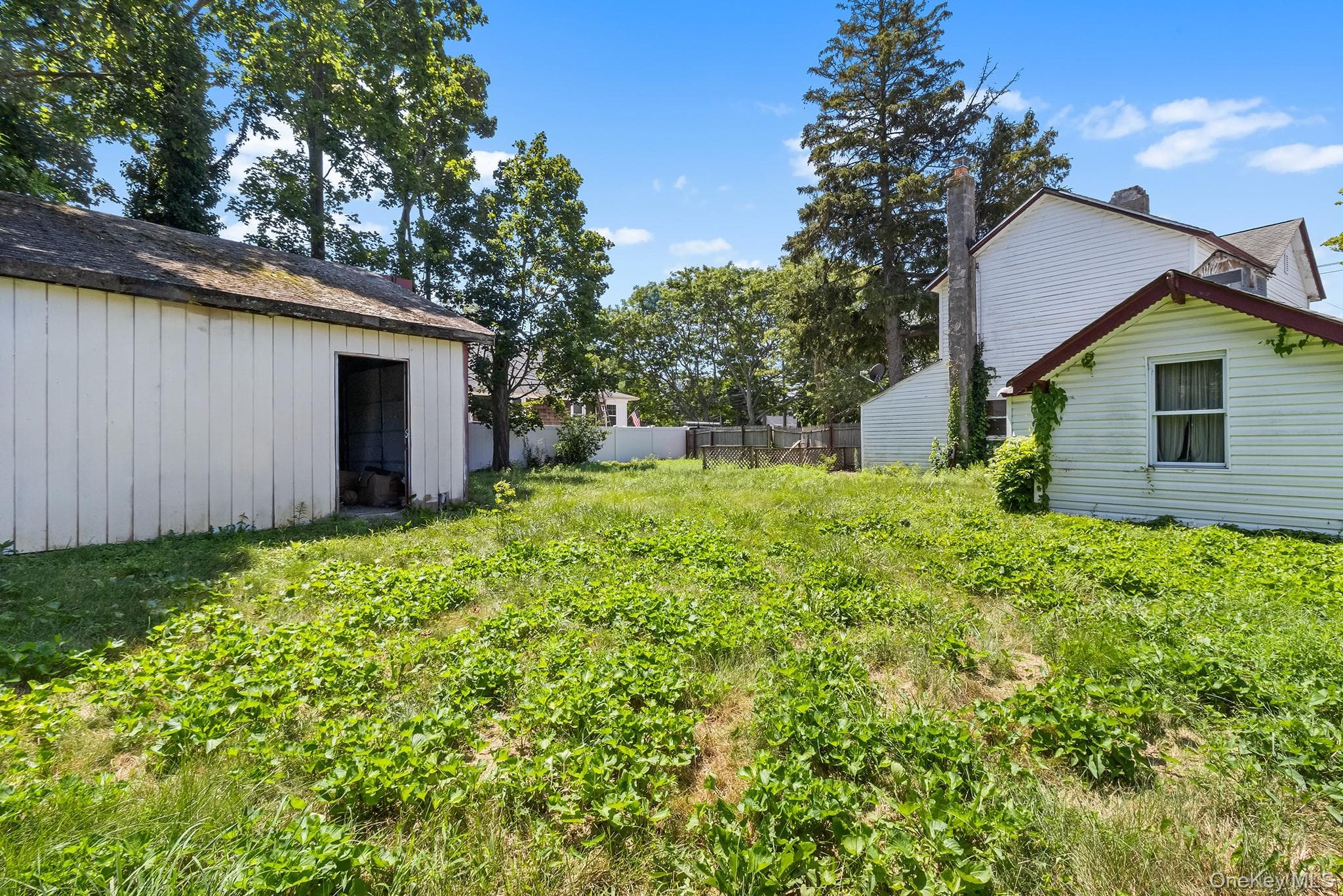 Yard