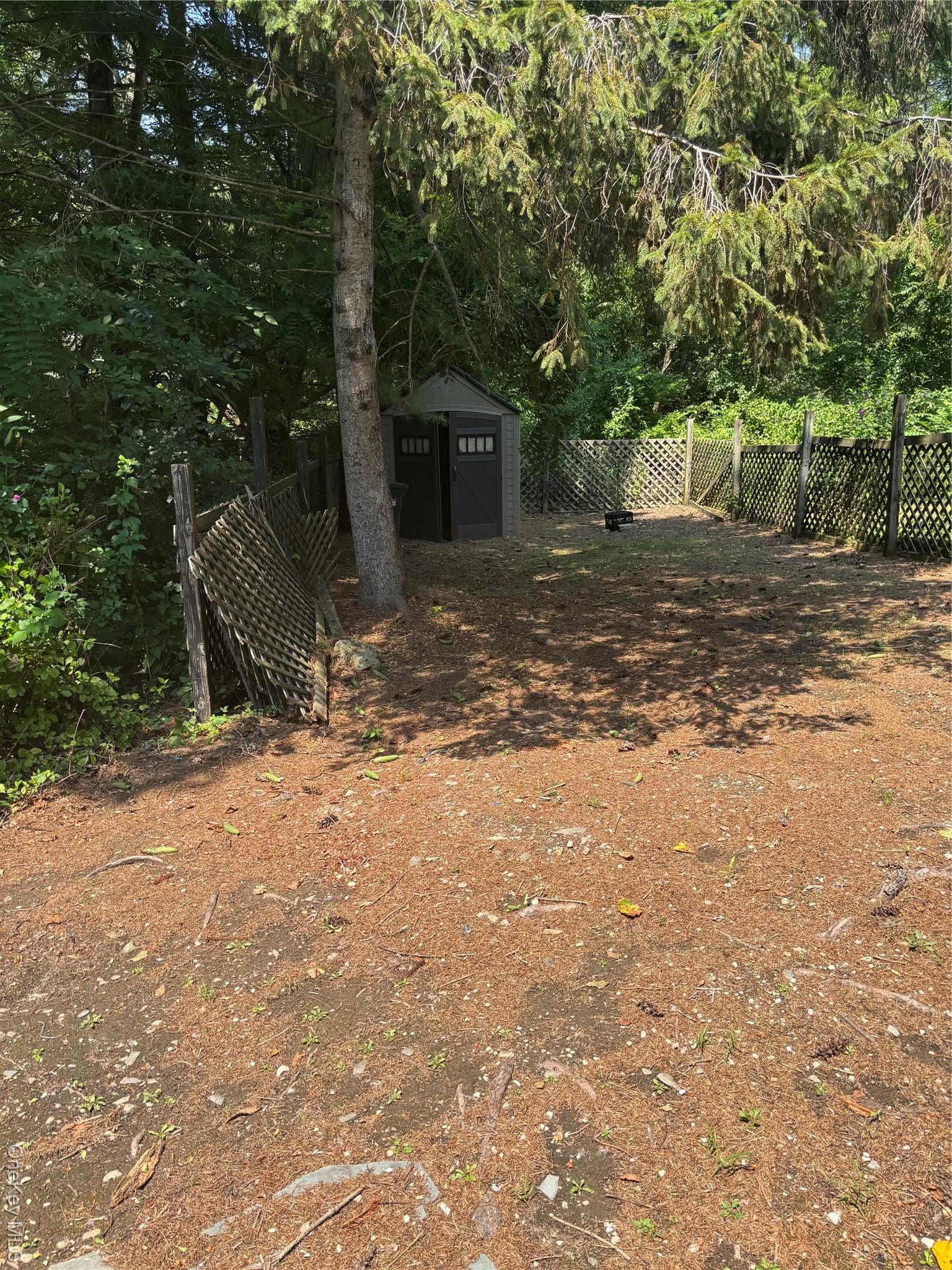 Yard