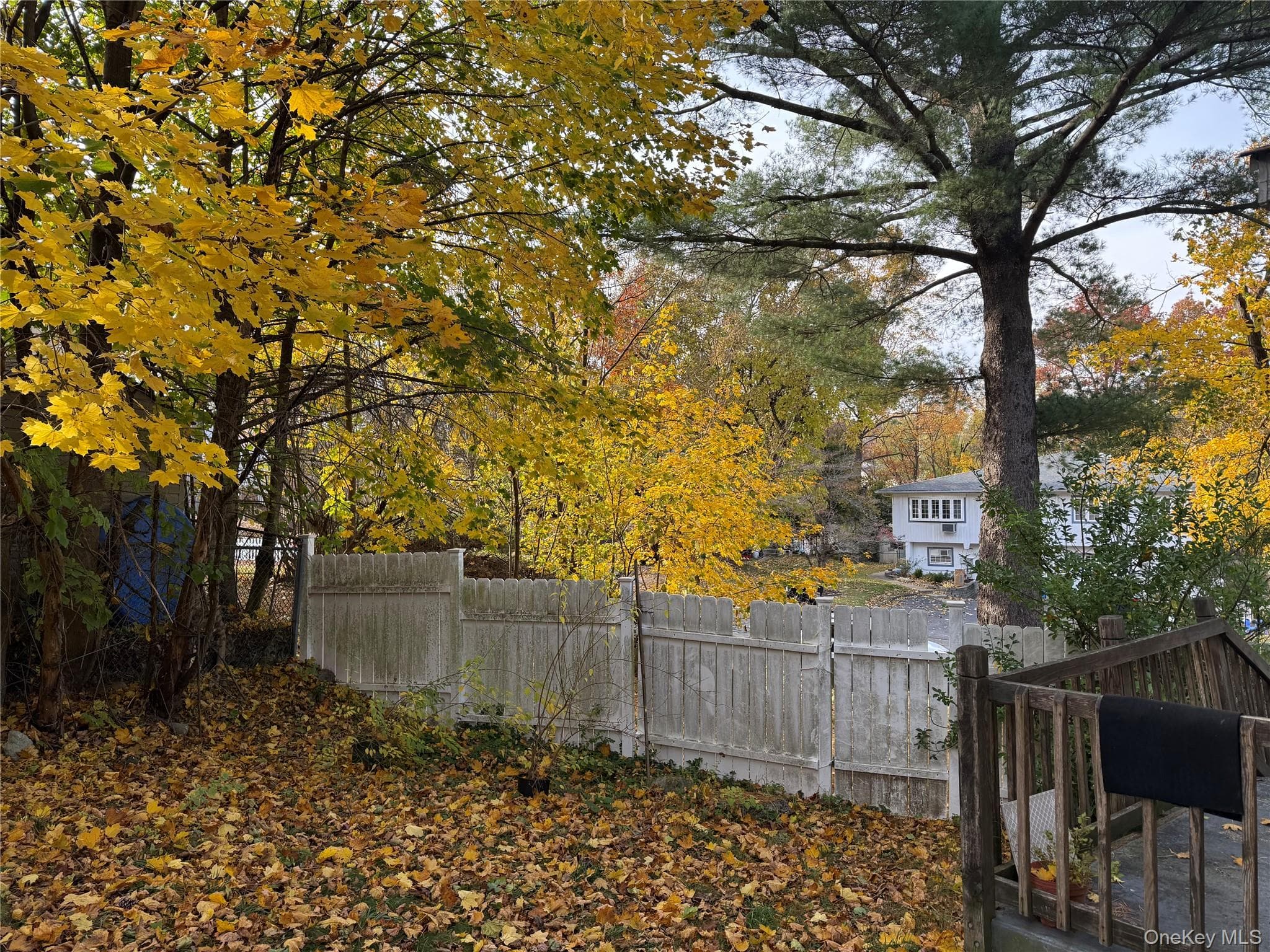 Yard