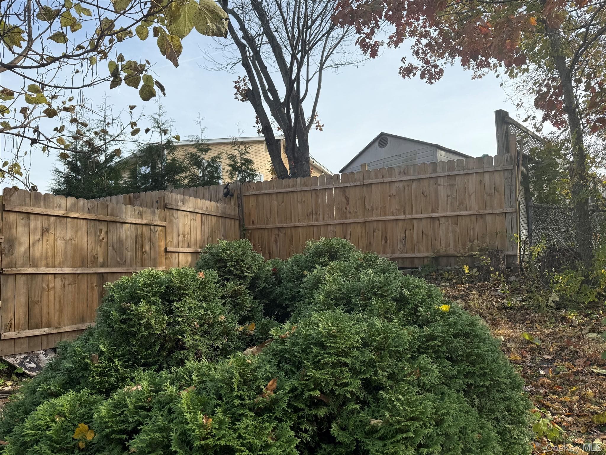 Yard