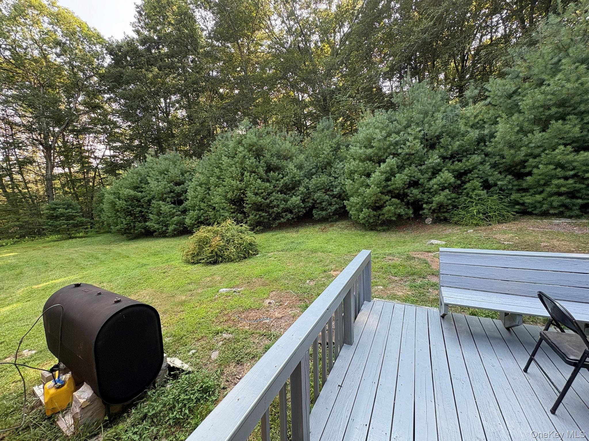 Deck