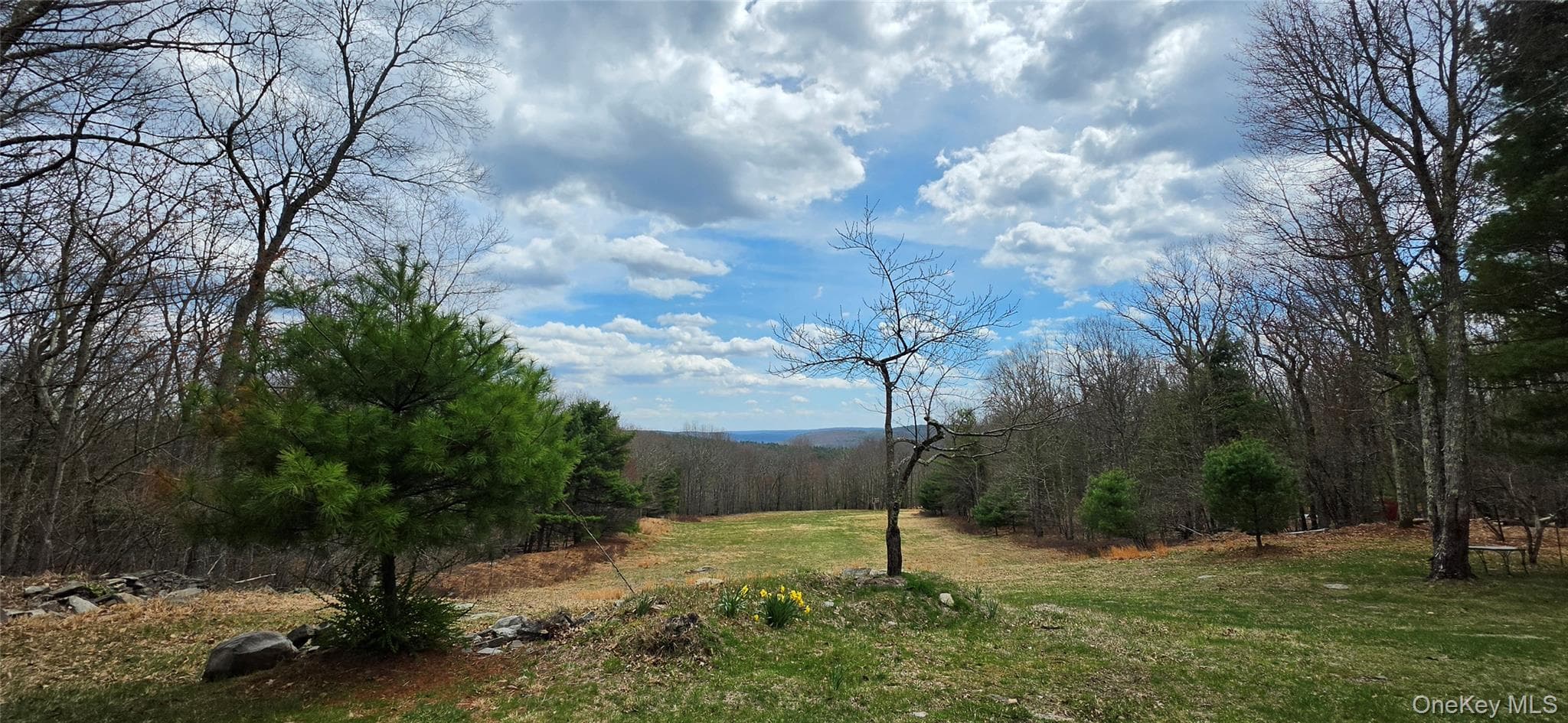 View