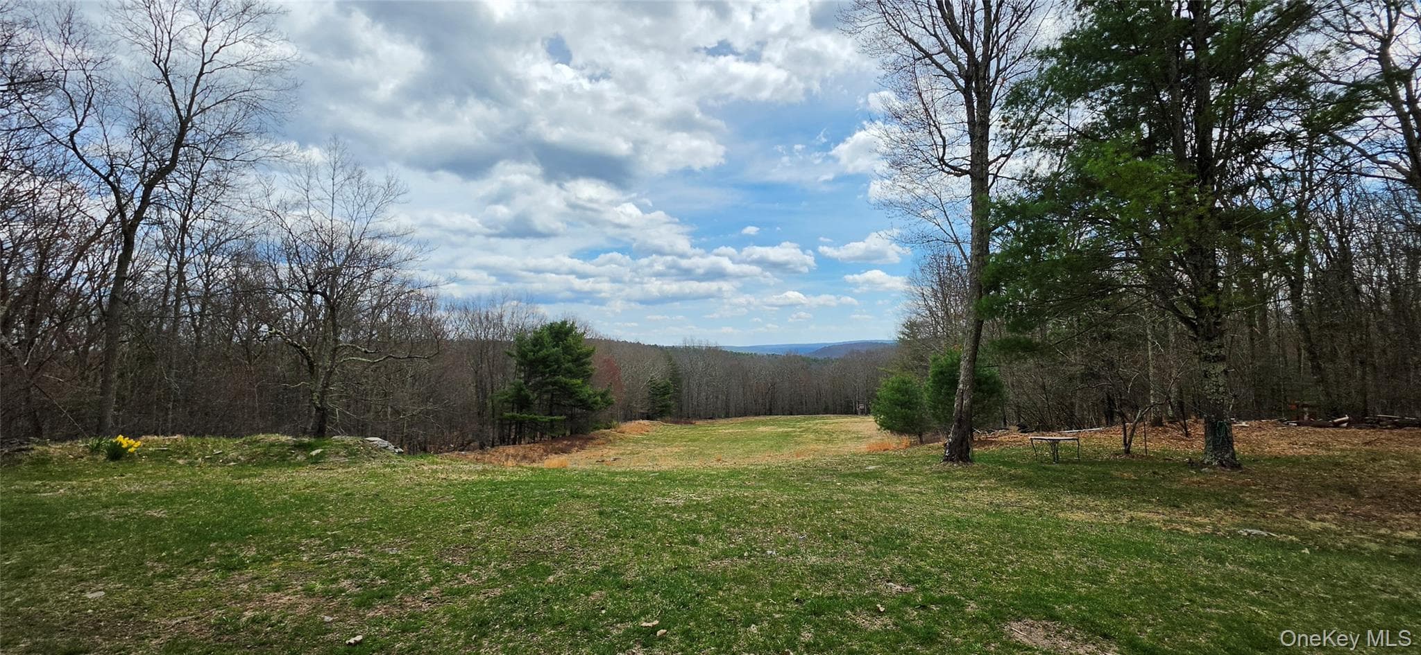 View