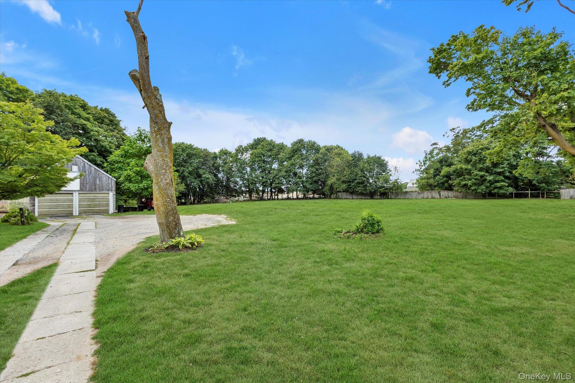 Yard