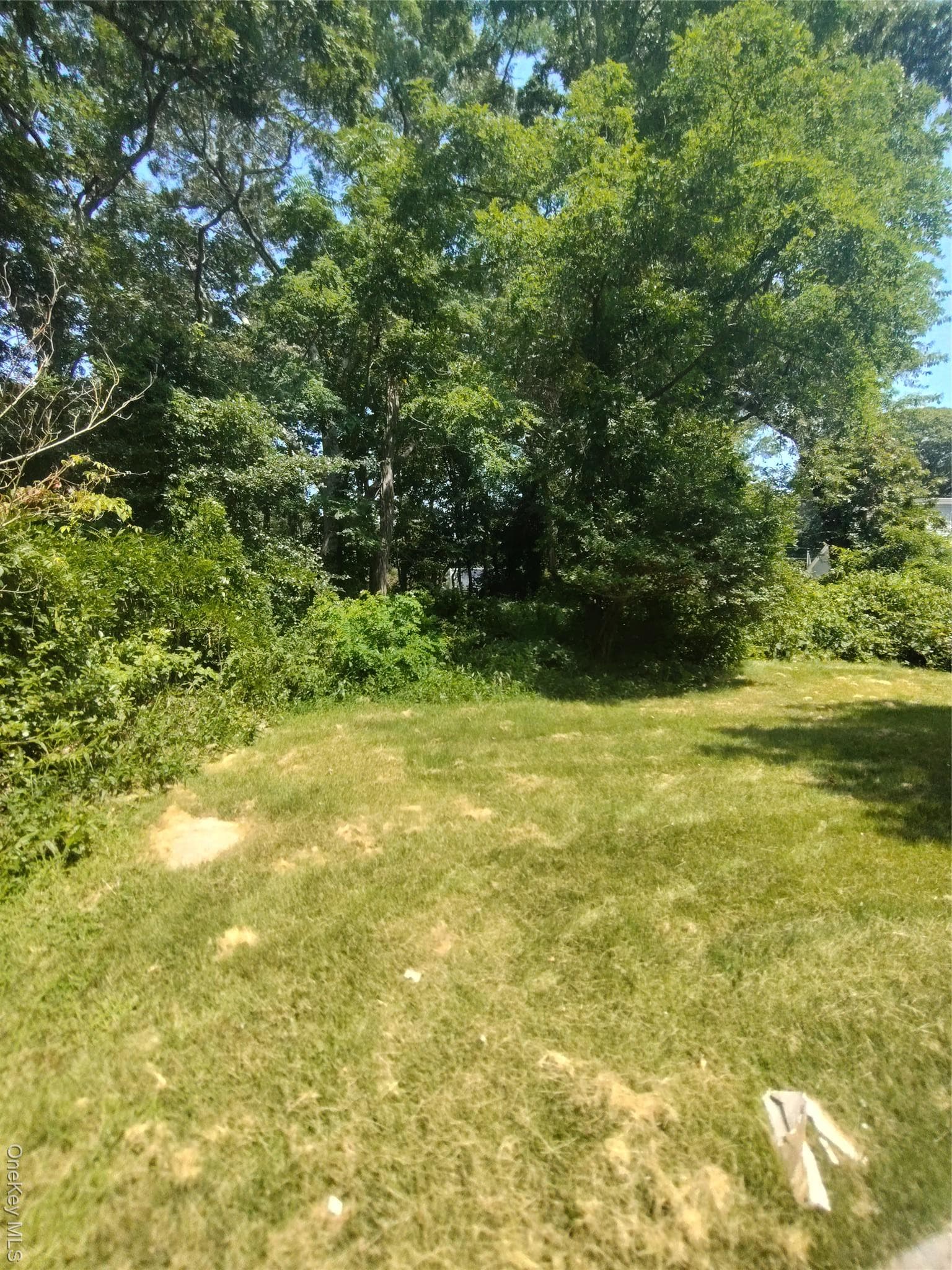 Yard