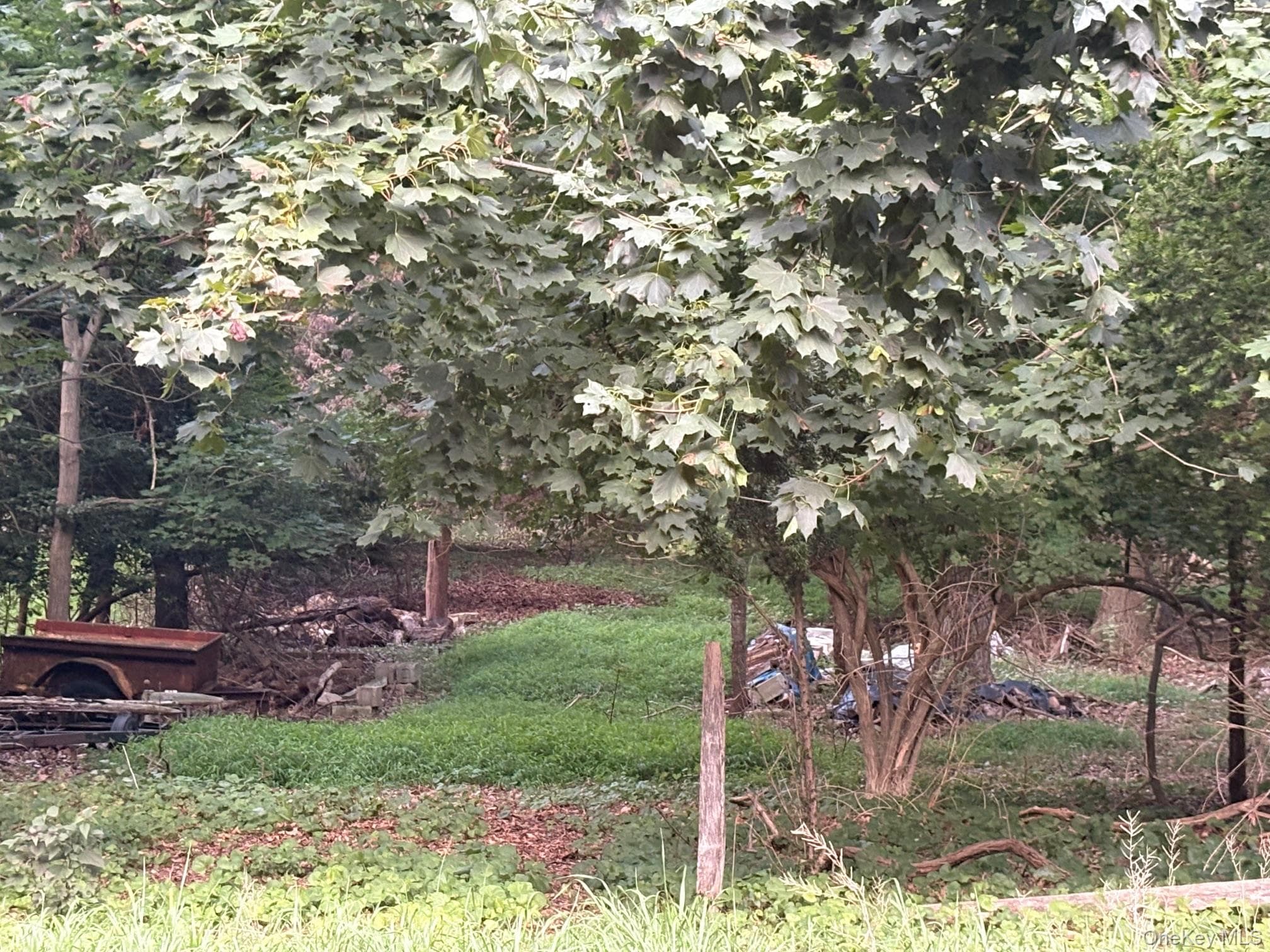 Yard