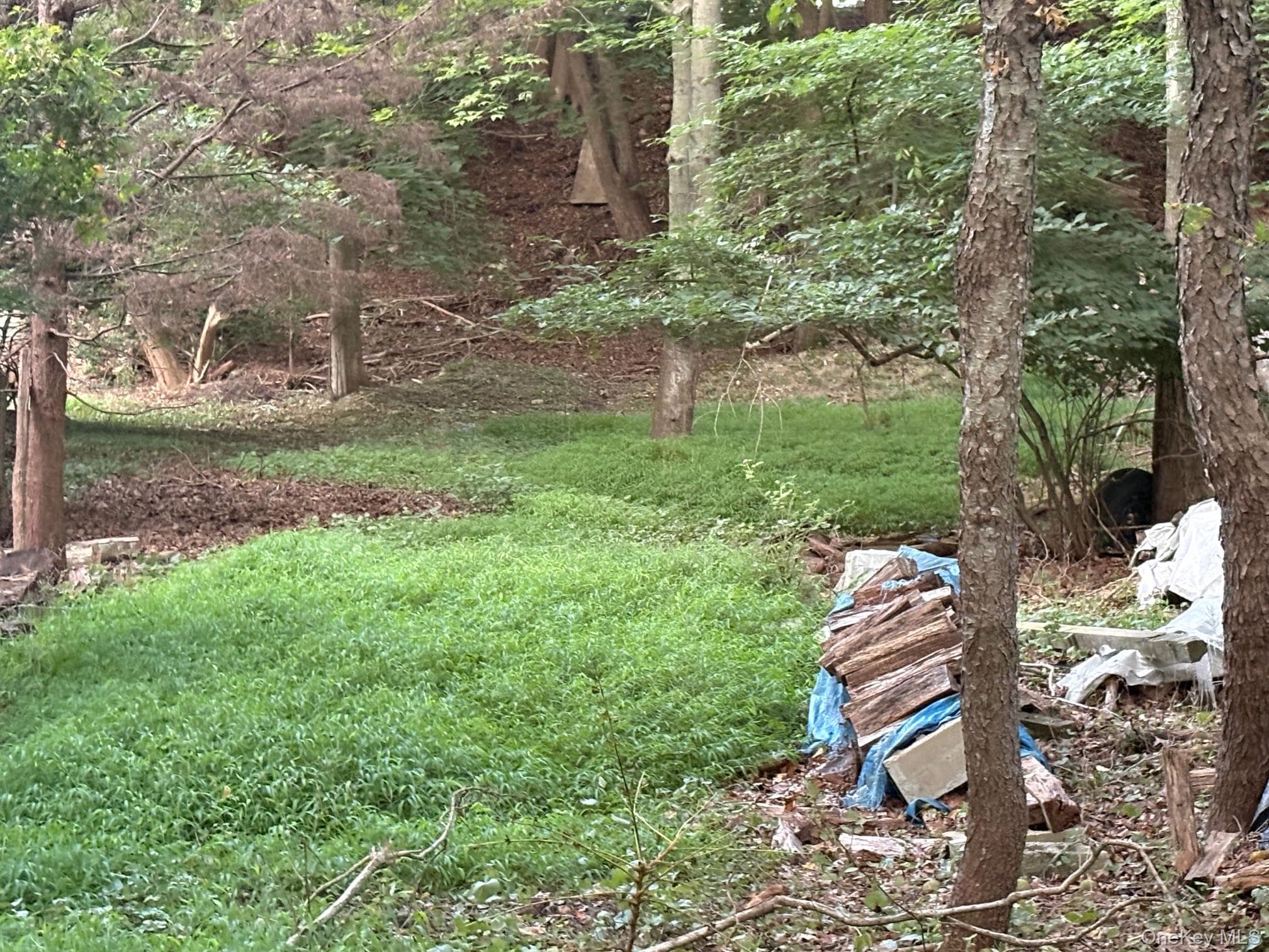 Yard
