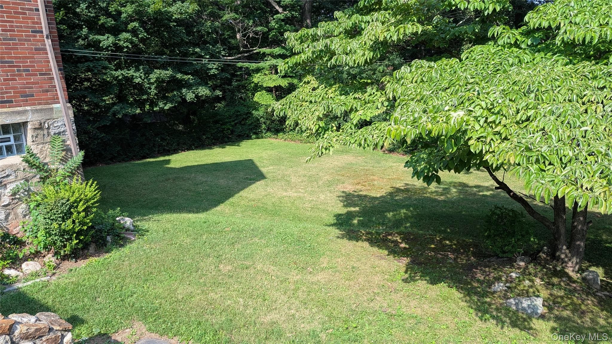 Yard