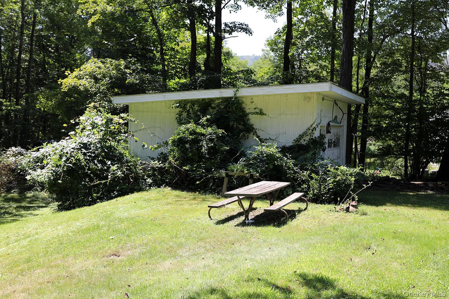 Yard
