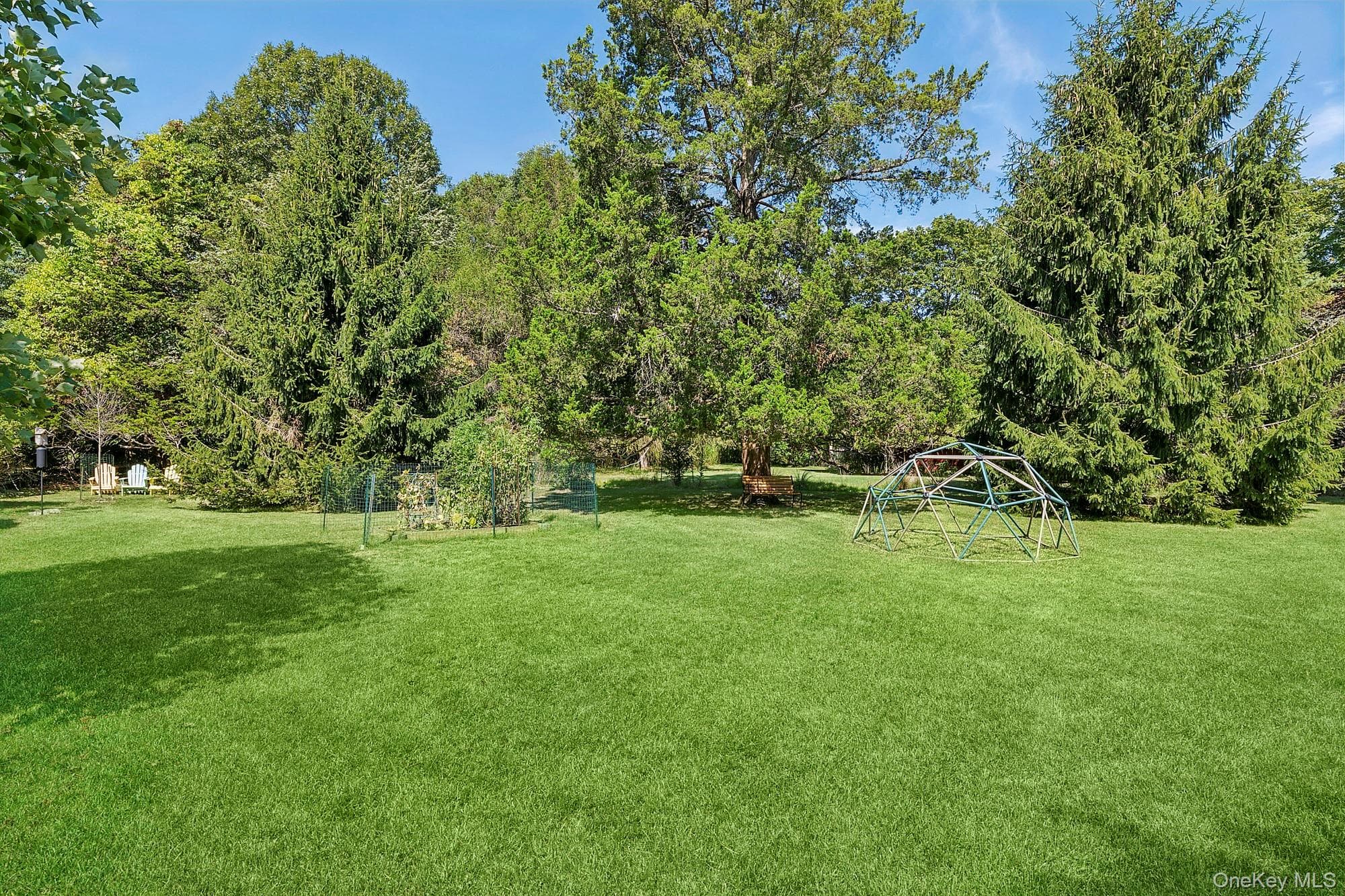 Yard