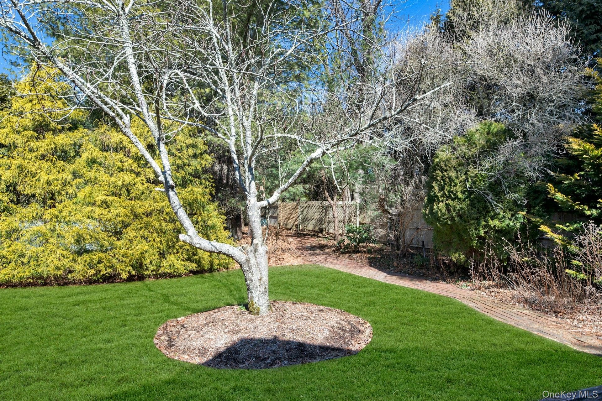 Yard