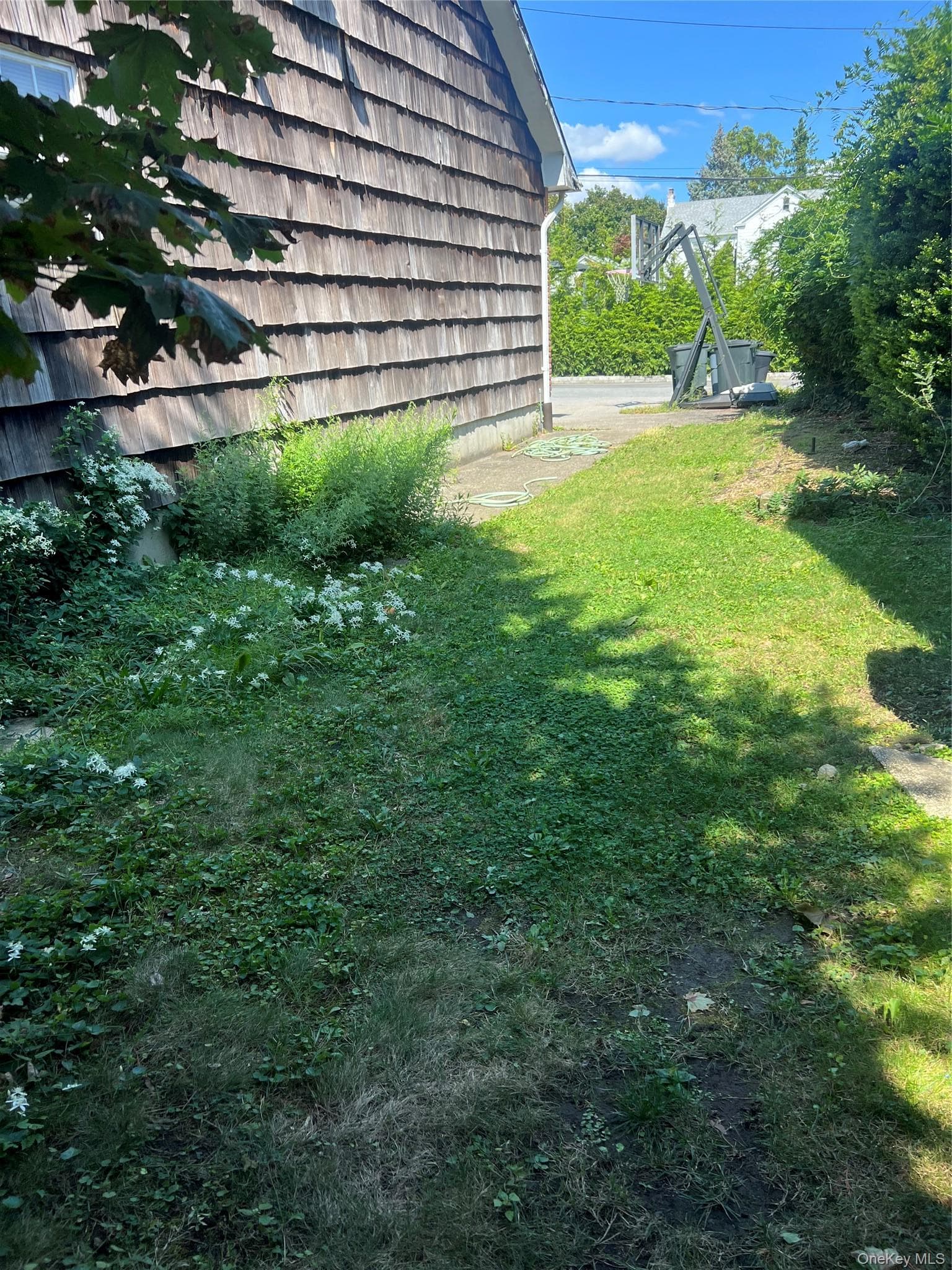 Yard