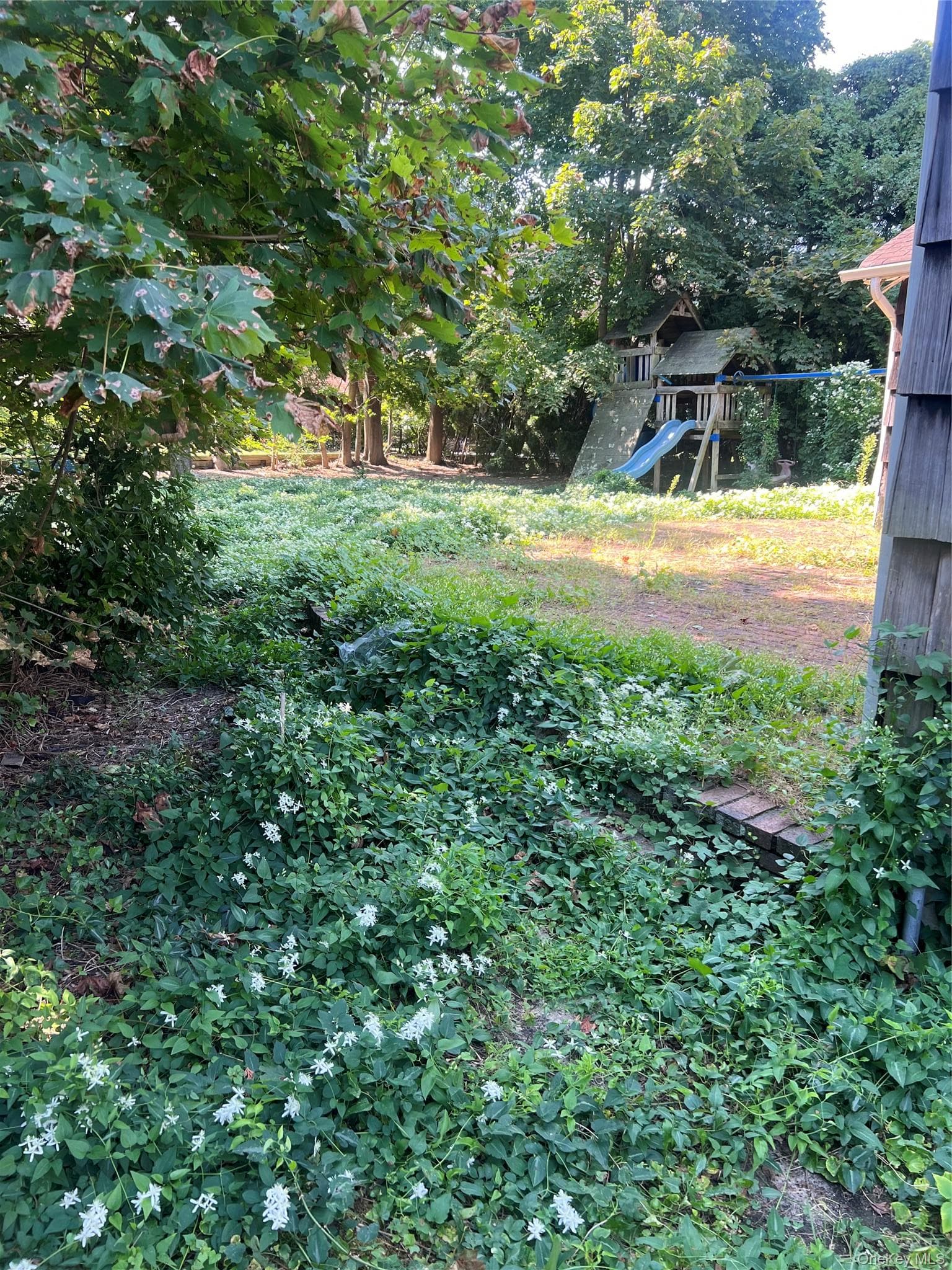 Yard