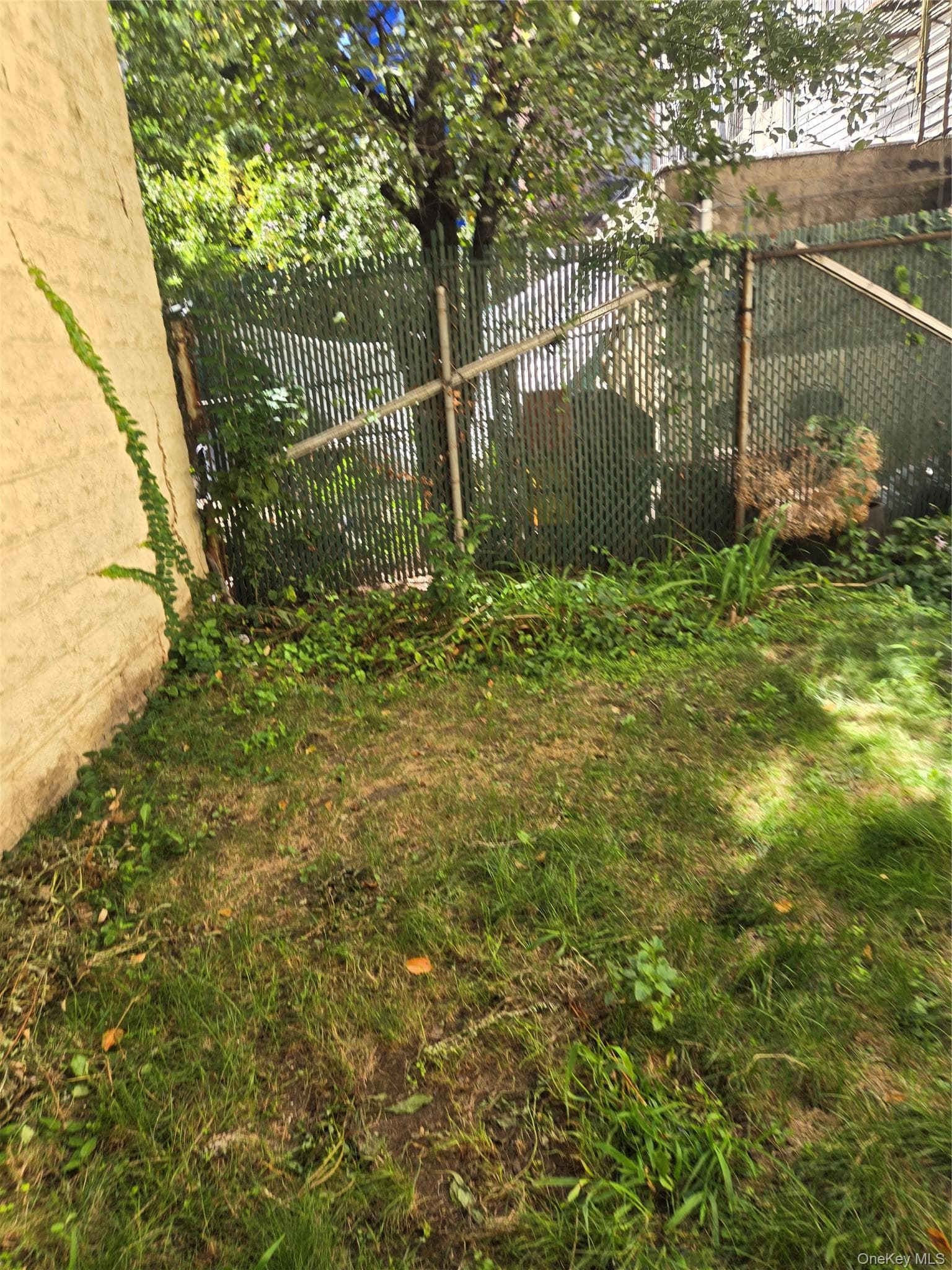 Yard