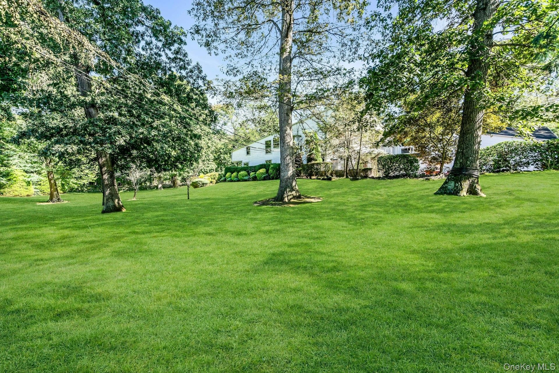 Yard