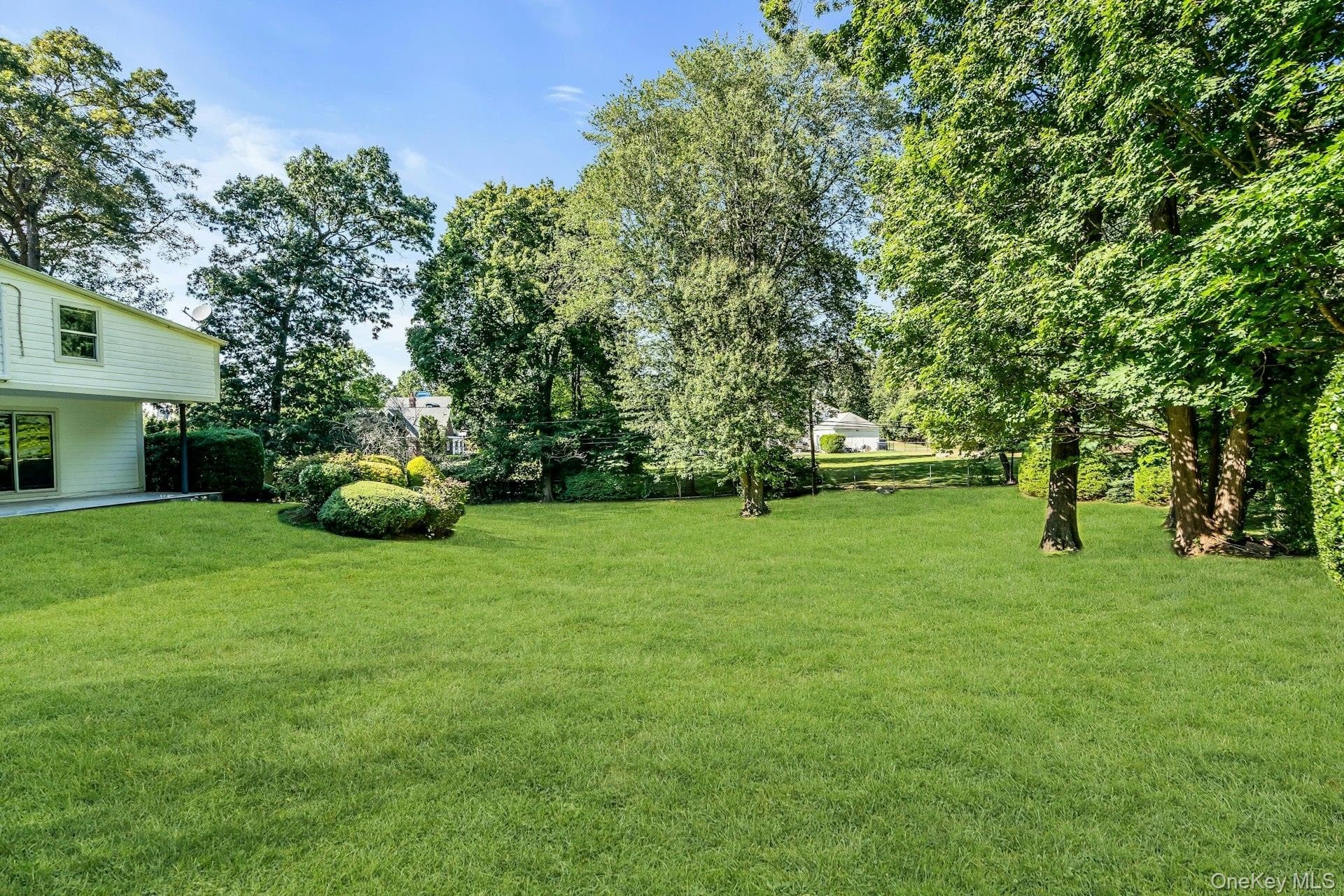 Yard