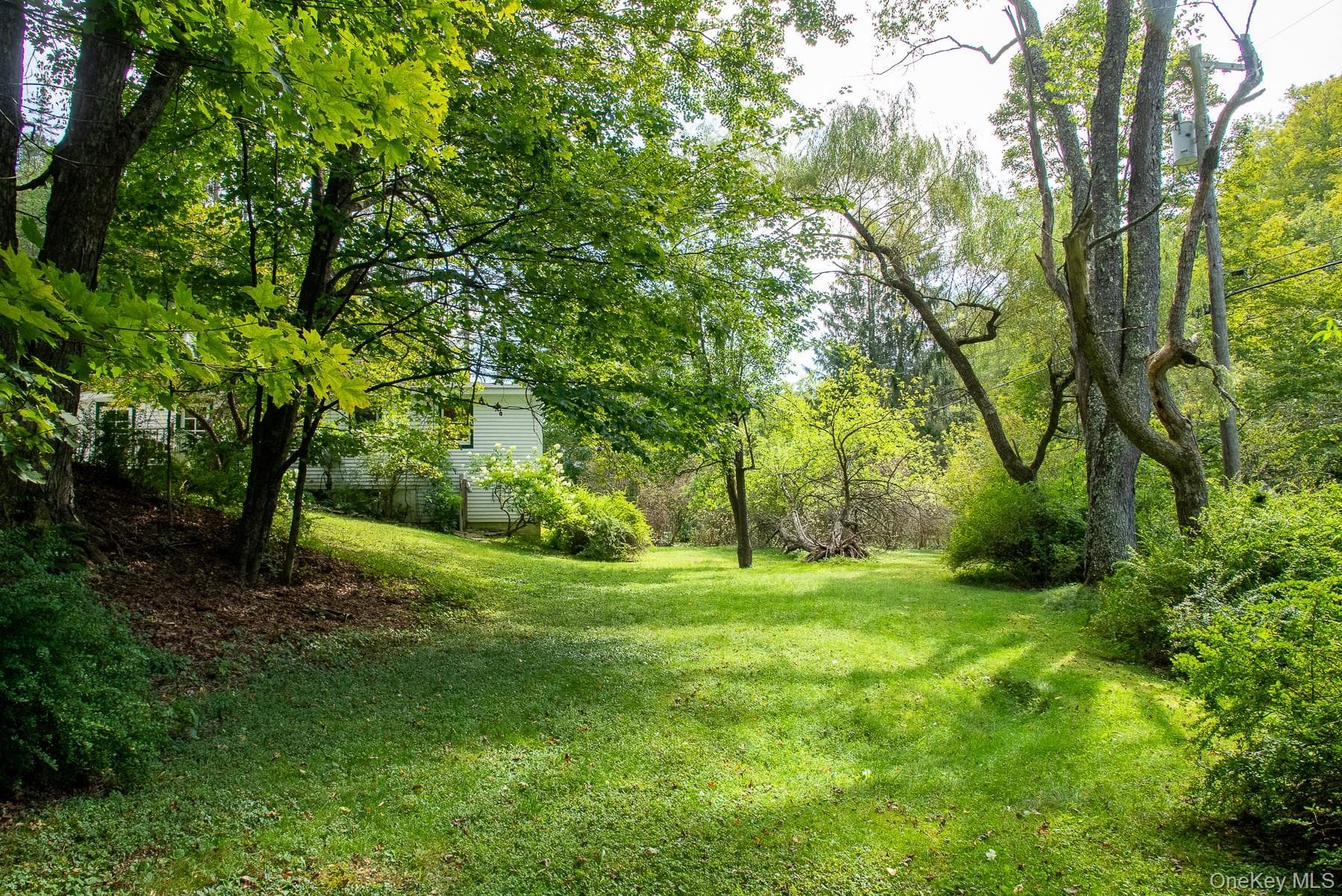 Yard