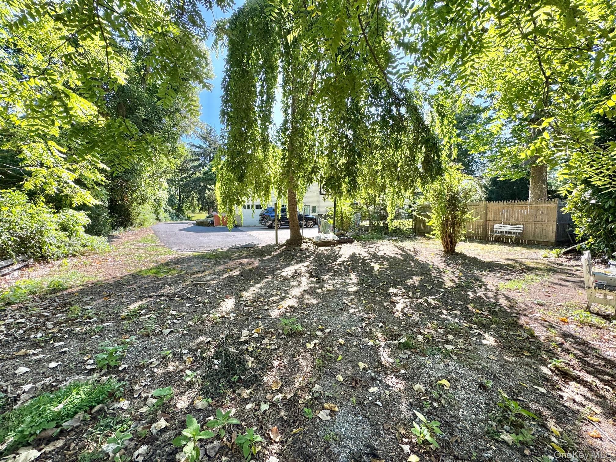 Yard