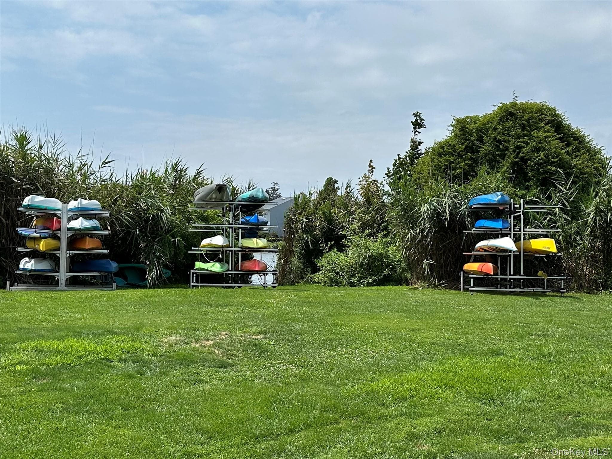 Yard