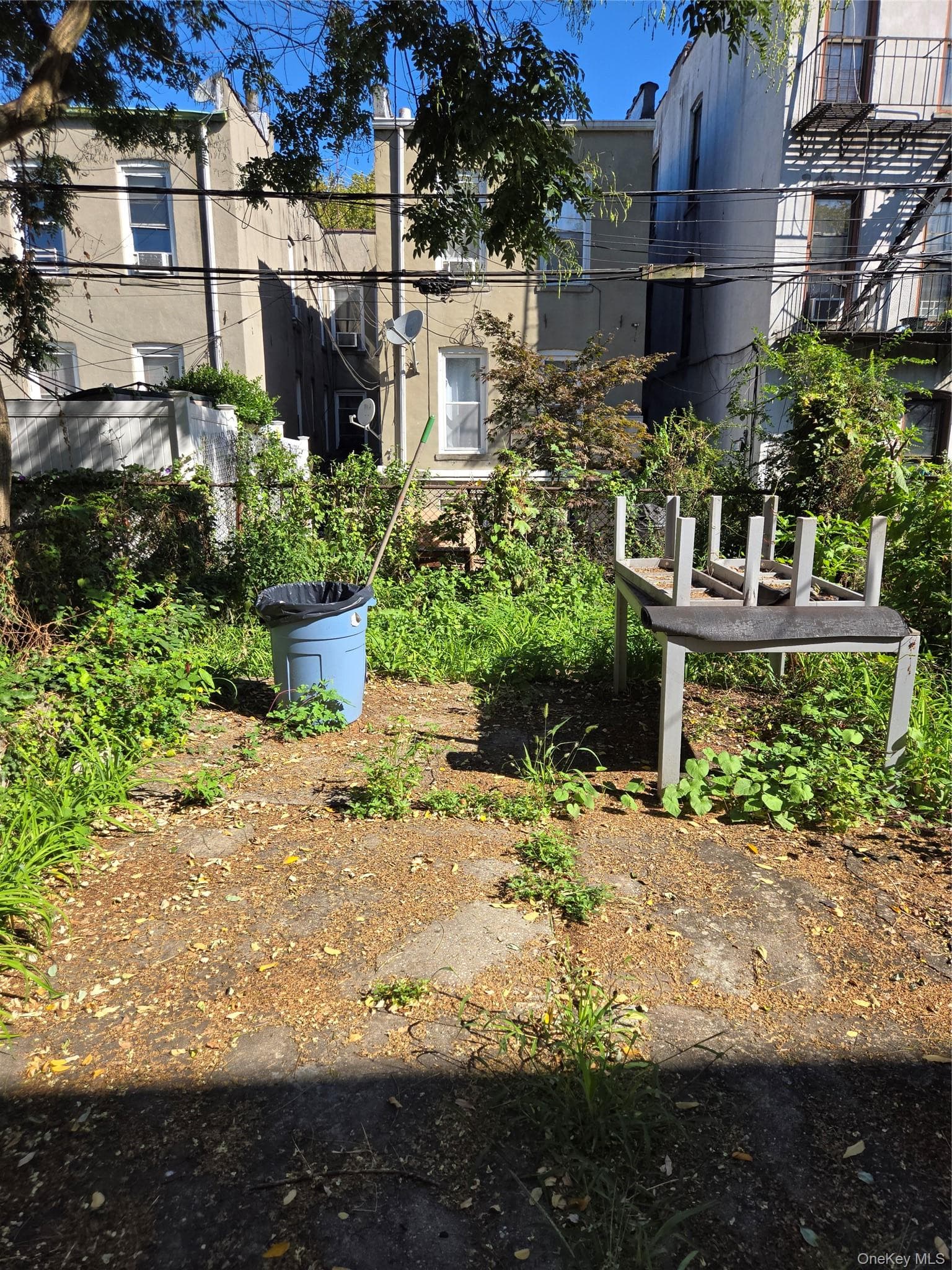 Yard