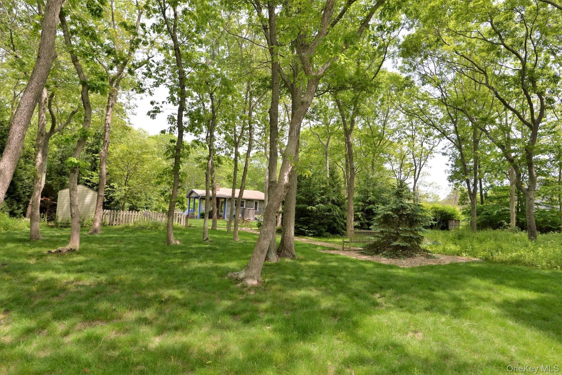 Yard