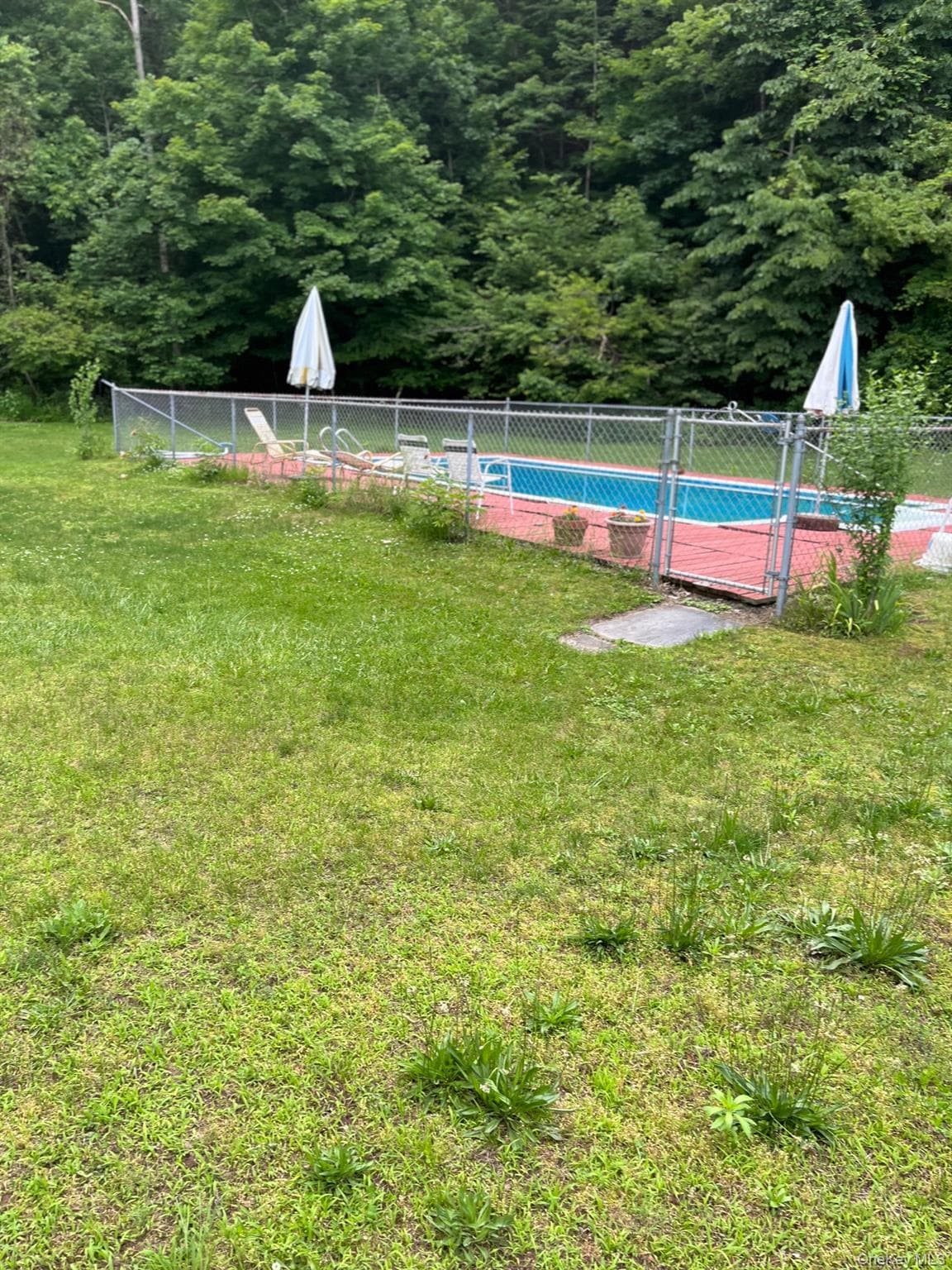 Yard