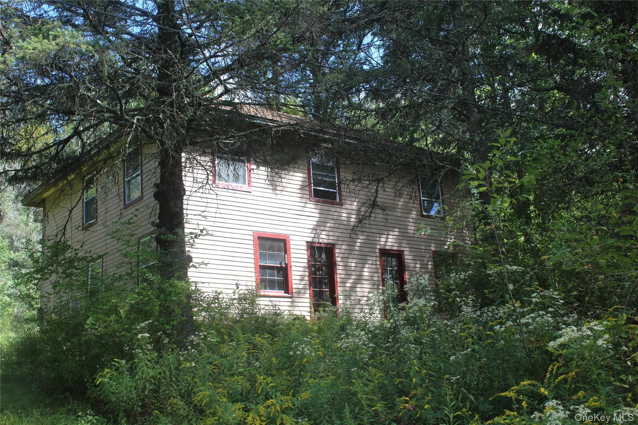 Front of Structure