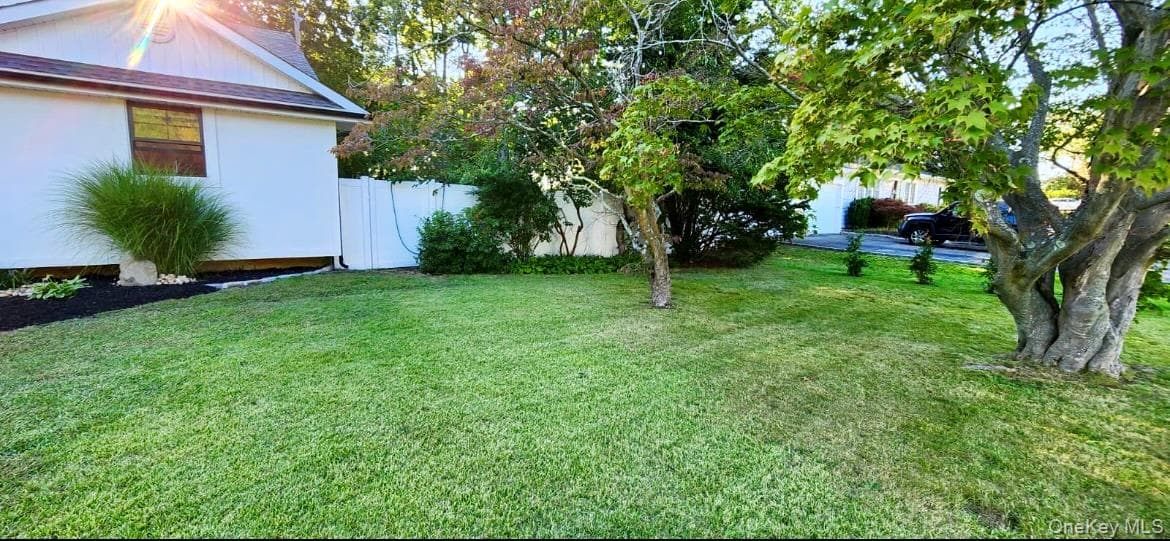Yard