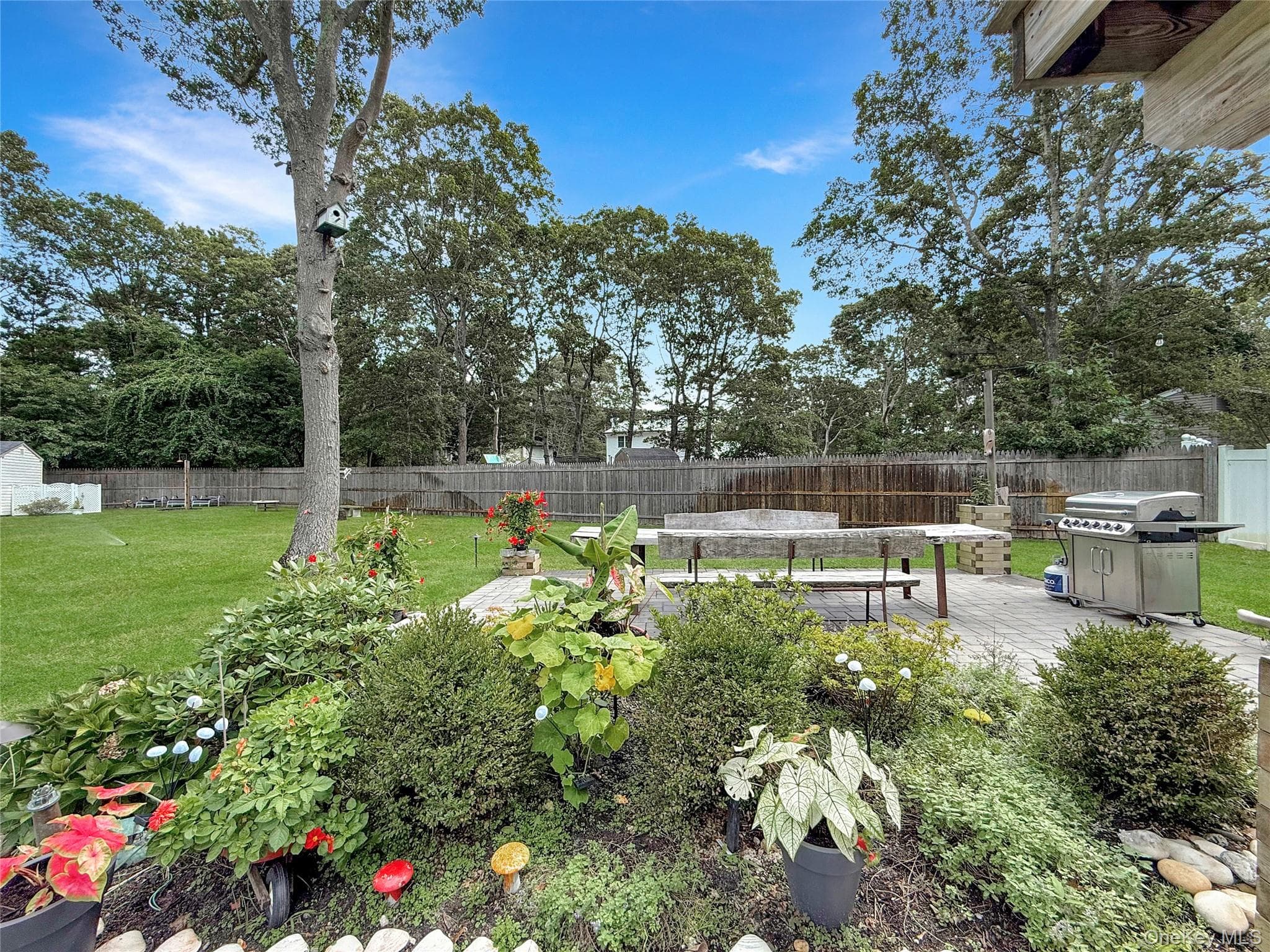 Yard