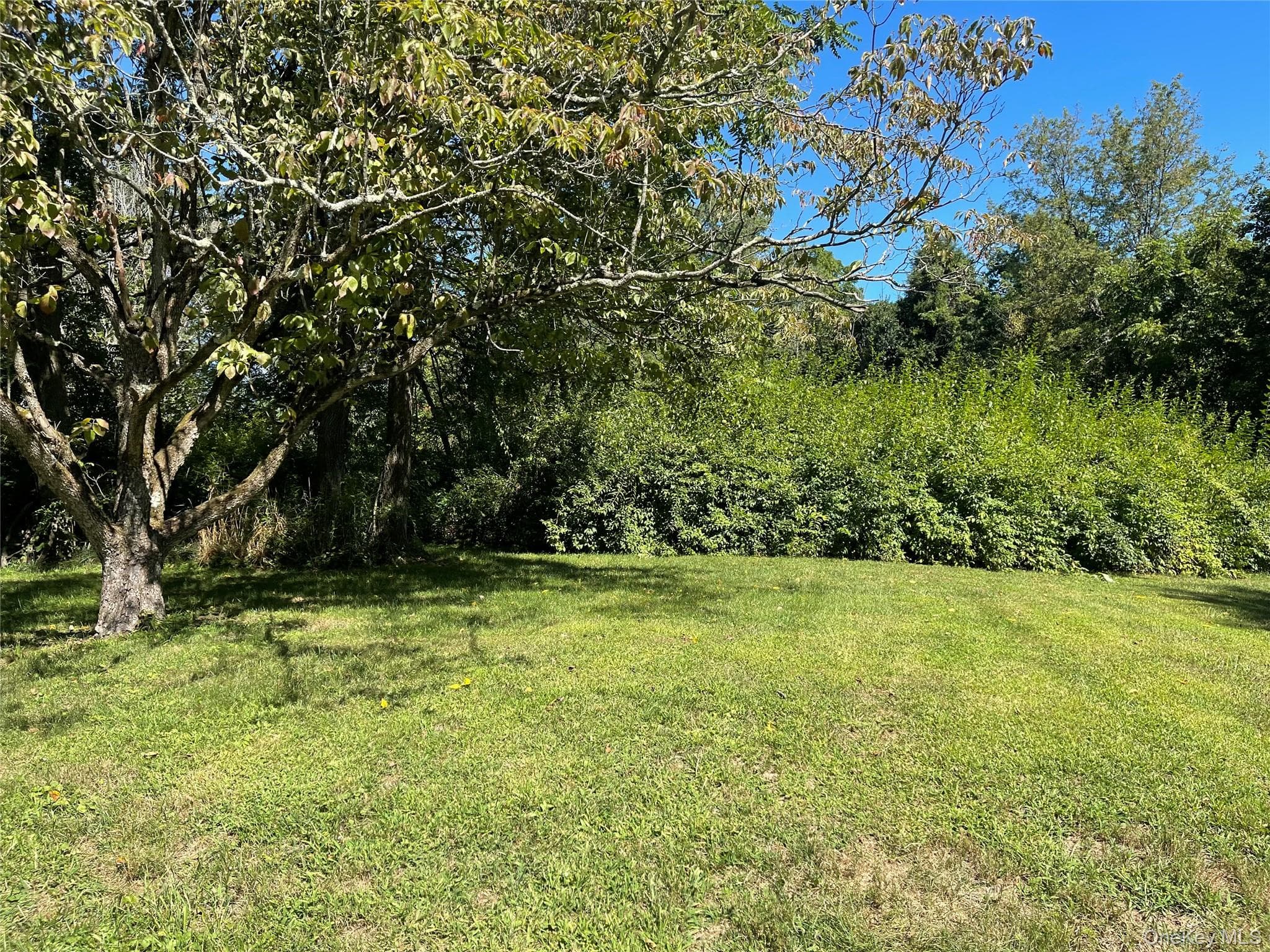 Yard