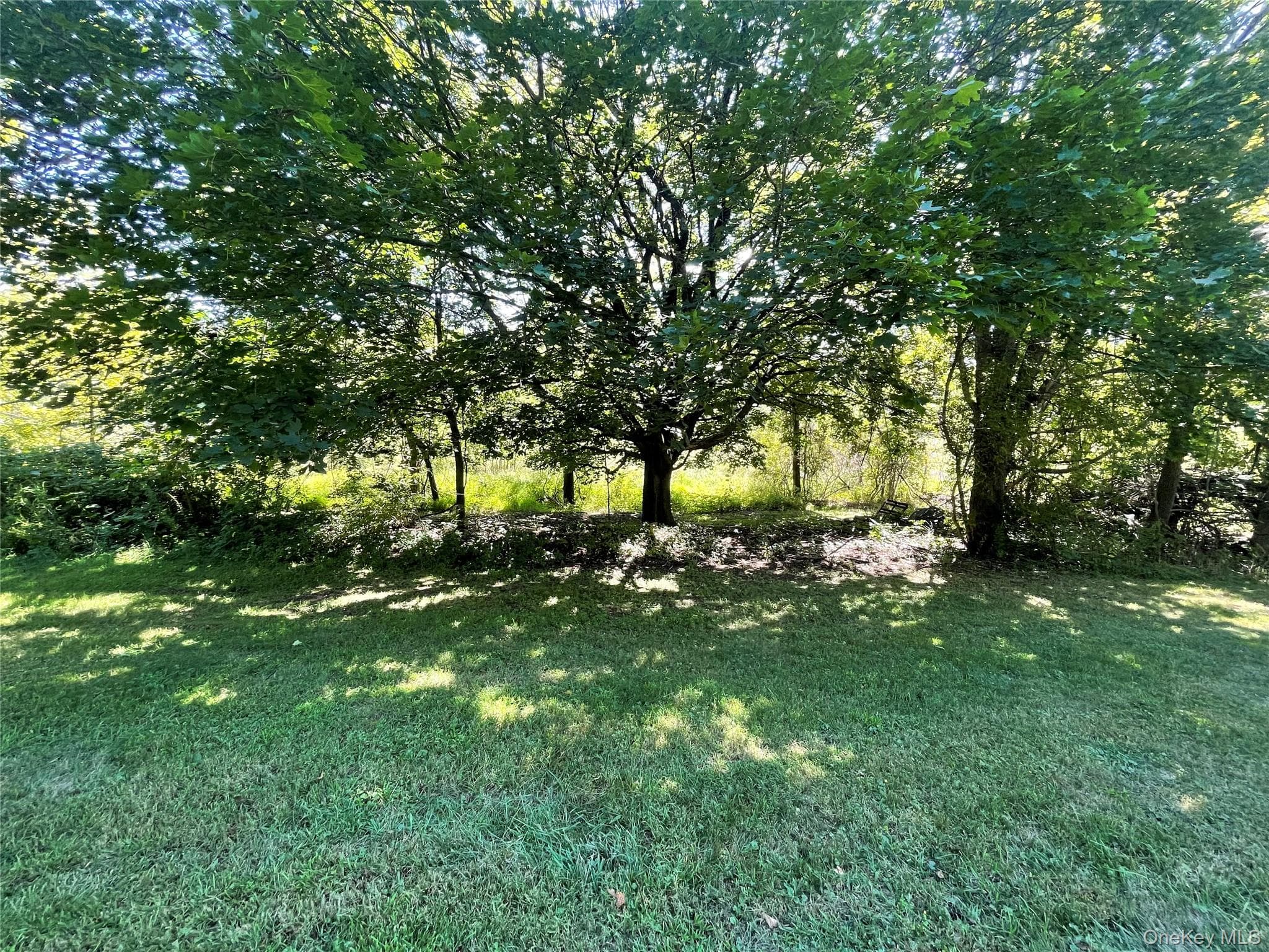 Yard