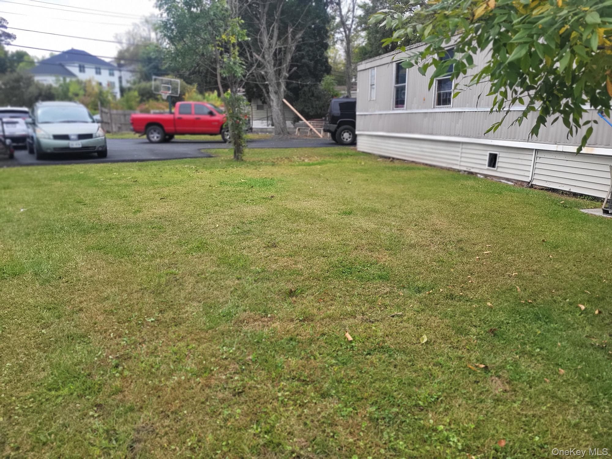 Yard